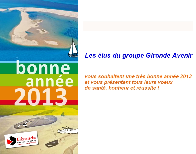 Bonne_annee_2013