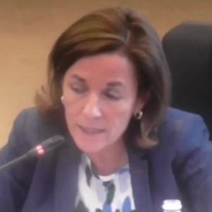 Intervention de Laurence Dessertine au sujet de la sauvegarde du secteur culturel.