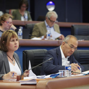 Intervention de Carole Veillard : prise de participation du CD33 dans la société APTIC